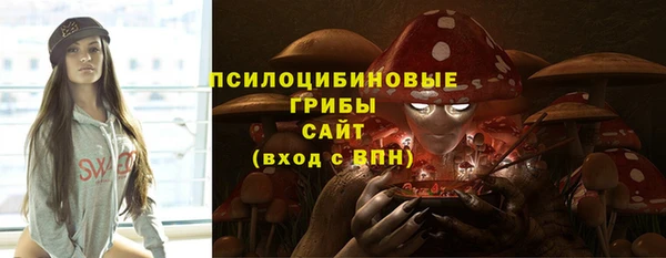 ГАЛЛЮЦИНОГЕННЫЕ ГРИБЫ Абдулино