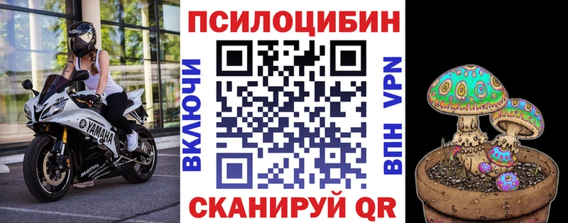 Псилоцибиновые грибы мухоморы купить наркотики цена Энем